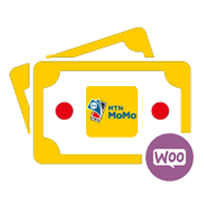 MTN Mobile Money Int WooCommerce